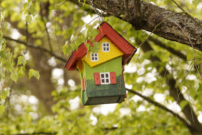 plant, red, birdhouse, house, building, tree, spring, architecture, wood - material, tree trunk, finance, outdoors, growth, wood, no people, building exterior