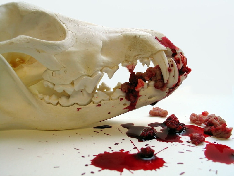 fruit, ceramic, drop, spilling, 480P, white color, indoors, red, dessert, bowl, sweet food, skull, close-up, blood, white background, white, no people
