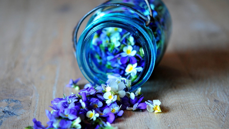 nature, high angle view, lavender, selective focus, multi colored, table, personal accessory, medicine, organic, scented, jar, homeopathic Medicine, flower