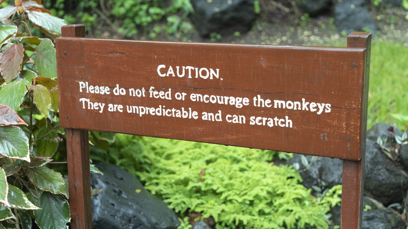 plant part, kenya, non-western script, africa, caution, plant, close-up, script, wood - material, guidance, day, no people, western script, monkey, 4K