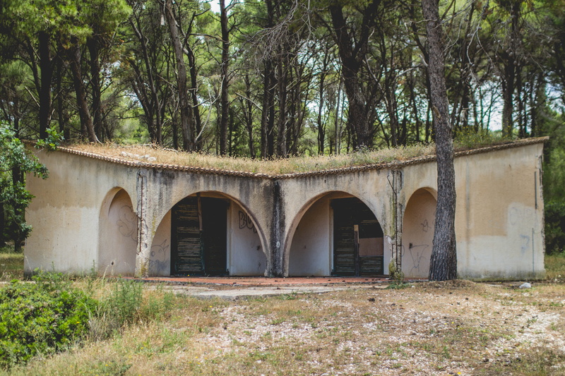 bridge, arch, old, plant, argostoli, building, nature, tree, symmetry, land, forest, green color, growth, no people, kefalonia, connection, day, history