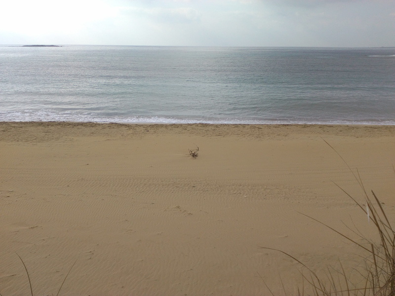 beach, minies village, grey, greece, nature, sea, horizon over water, tranquility, land, water, one animal, sand, 2K, beauty in nature, horizon, no people
