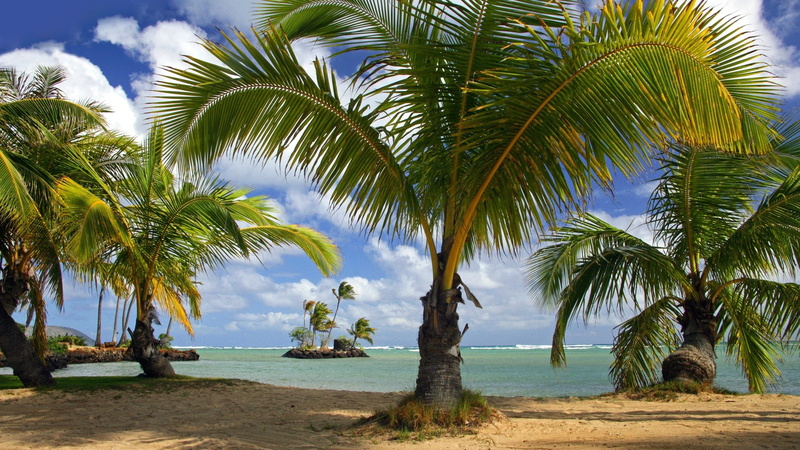 hd, Hawaii, tropical, parks, beach, art, nature, oahu, x, beaches, 1080P