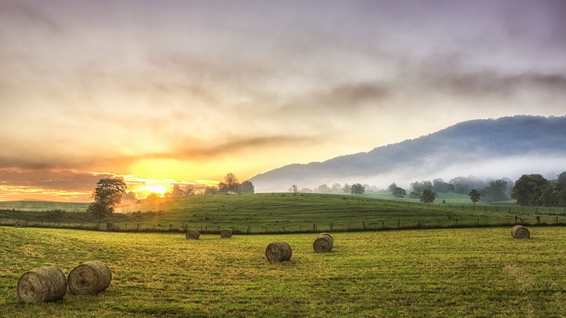 1080P, nature hd  for pc download 1920x1080