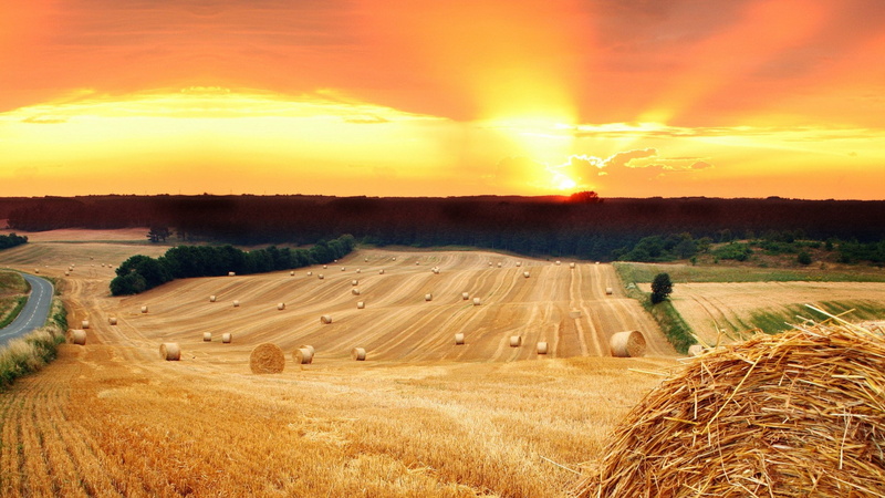 landscape, cloud - sky, beauty in nature, tranquility, environment, hay, farm, plant, no people, sunset, nature hd  for pc download 1920x1080, agriculture