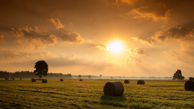 1080P, nature hd  for pc download 1920x1080