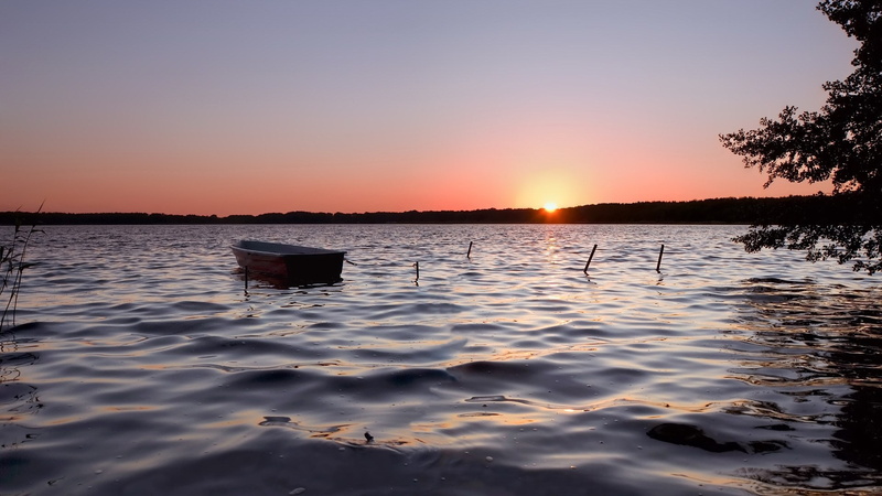 sea, tree, tranquility, water, no people, 1080P, sunset, sky, idyllic, beauty in nature, tranquil scene, romantic sky, reflection, nature, nature hd  for pc download 1920x1080