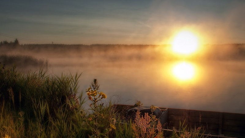 1080P, nature hd  for pc download 1920x1080