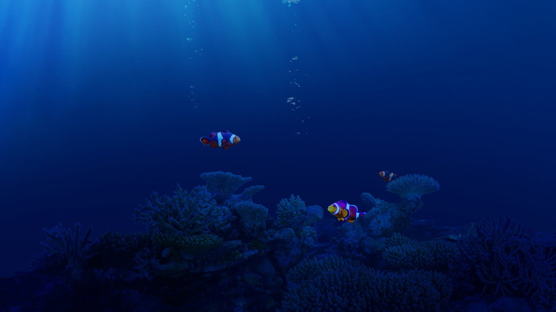 animals, clownfish, sea, fish, underwater, 1080P