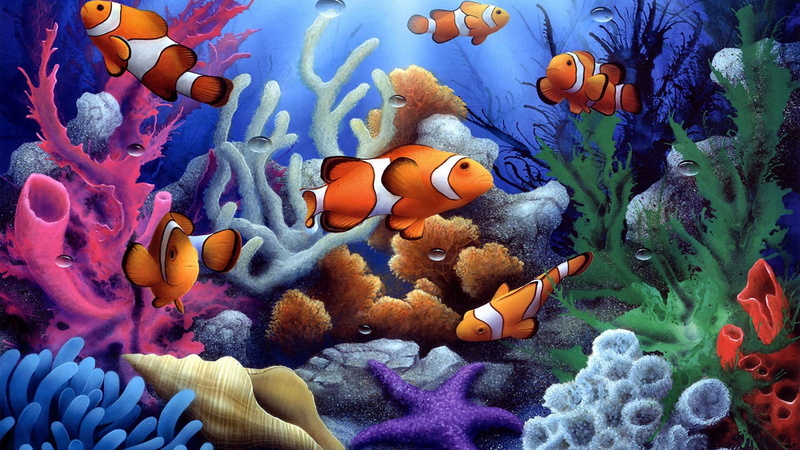 clownfish, 1080P