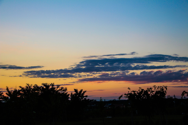 orange color, tranquility, romantic sky, tree, no people, 5K, twilight, outdoors, tranquil scene, idyllic, beauty in nature, building exterior, silhouette