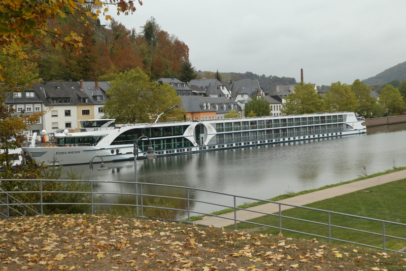 sights, river, built structure, water, tree, plant, outdoors, saar, bridge, building, arch bridge, cityscape, connection, houses, cruise ship edelweiss