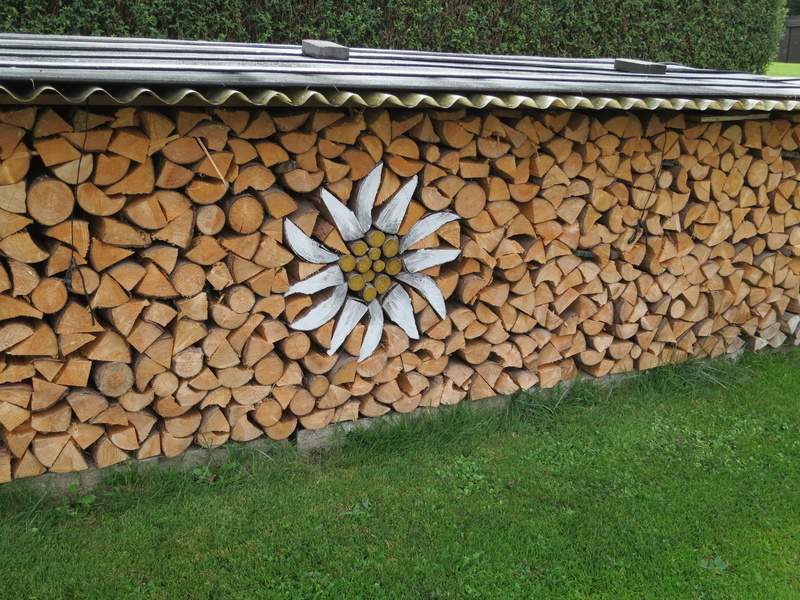 growing stock, wood, storage, 4K, abundance, edelweiss, firewood, tree, nature, log, outdoors, large group of objects, plant, firewood stack, day, art