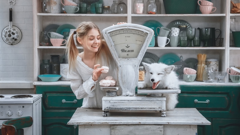 dog, Libra, 2K, girl, Andrey Vasilyev