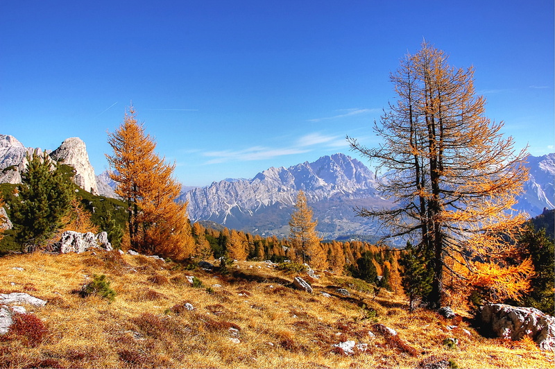 2K, adventure, mountains, scenic, highlands, no people, tree, rock, view, idyllic, panorama, hill, scenics - nature, day, dolomites, land, sky, landscape