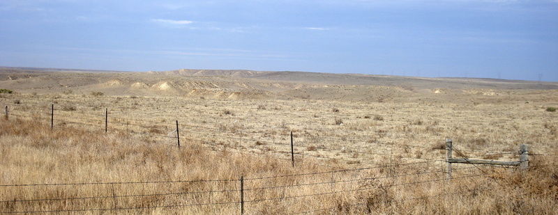 non-urban scene, Northeastern, 2K, horizon, arid climate, arid, dry, semi-arid, northeastern colorado, environment, agriculture, nature, no People, morgan