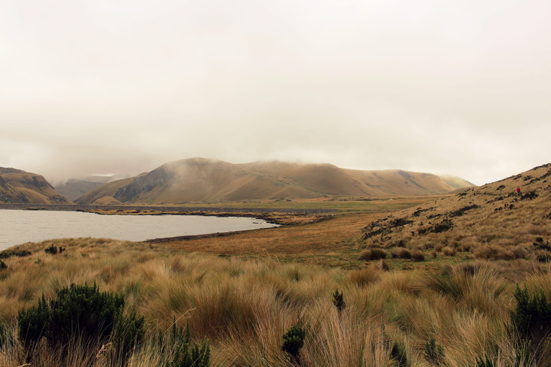 foggy day, remote, rock, beauty in nature, outdoors, low, 5K, mountain range, angle, foggy, green, grass, plant, cloud - Sky, nature, brown, water, near