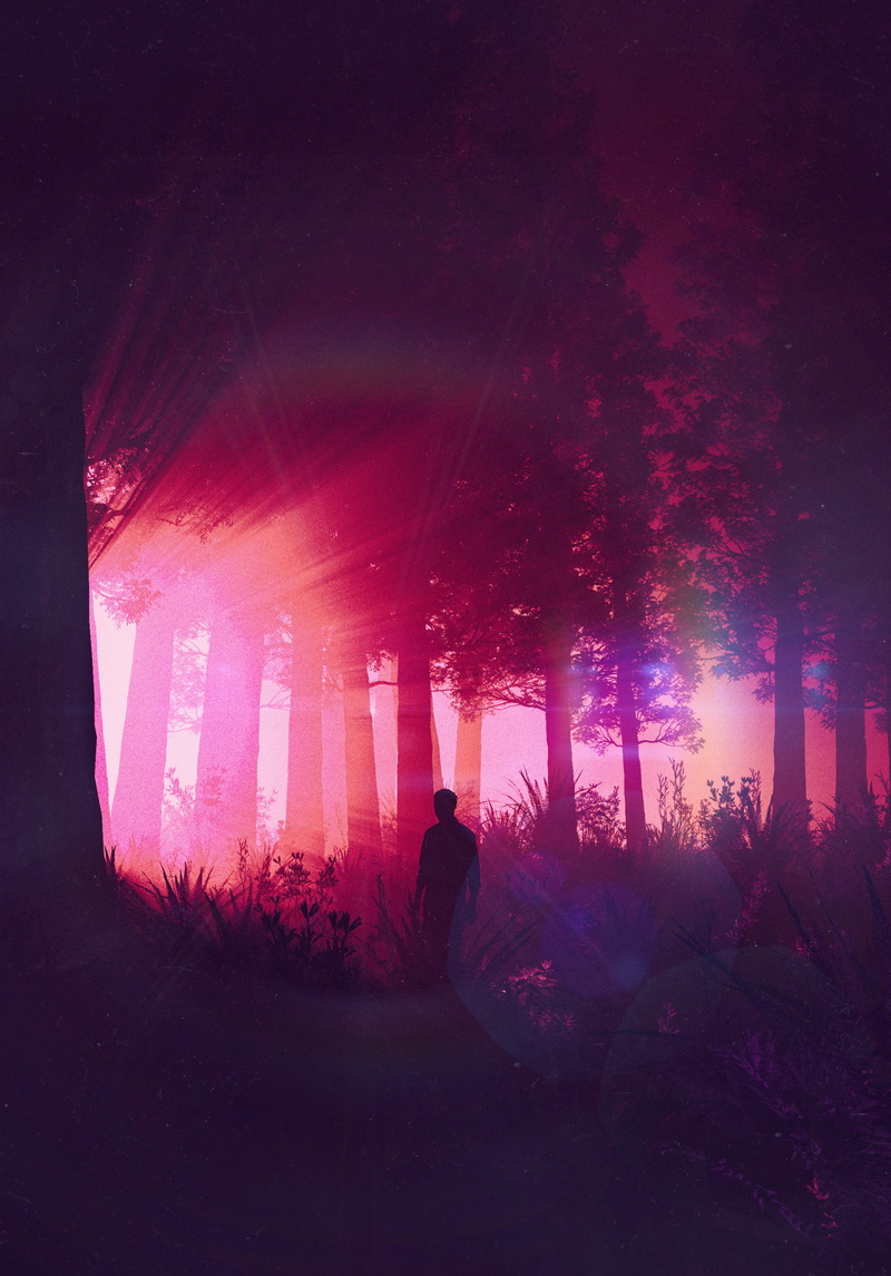 silhouette, unrecognizable person, man, arts culture and entertainment, leafed, real people, tree, nature, one person, purple, performance, architecture