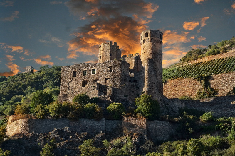 fort, near, 2K, the past, history, medieval, old ruin, tree, rhine, building, leaf, deterioration, no people, old, plant, nature, architecture, ehrenfels