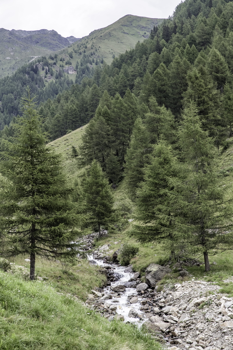 green, green color, mountain range, day, no people, rocks, plant, non-urban scene, environment, top view, country, idyllic, tranquility, valley, woods