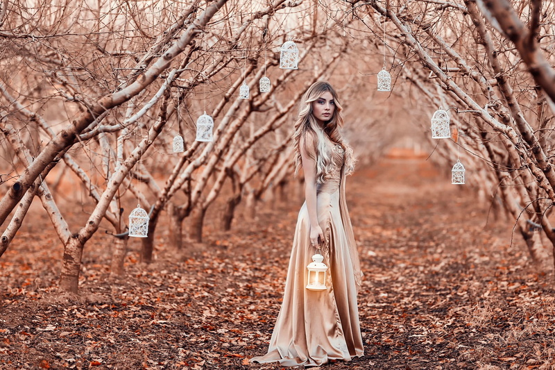 land, 1080P, autumn, standing, adult, nature, young adult, plant, outdoors, hair, hairstyle, tree, plant part, one person, beautiful people, Alessandro Di Cicco