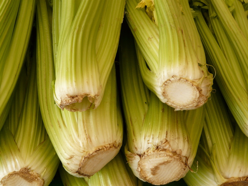 vegetable, wellbeing, no people, bunch, sweetcorn, backgrounds, indoors, still life, freshness, 2K, full frame, close-up, raw food, close, corn, vegetables