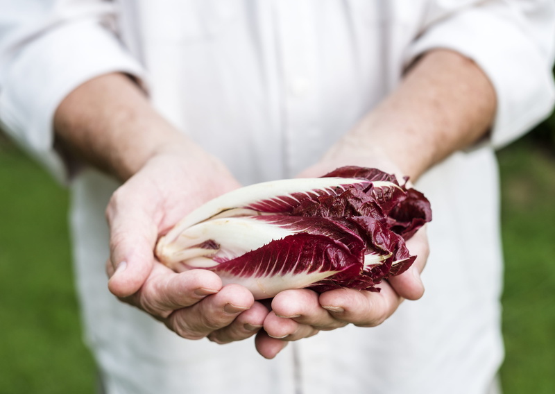 hands cupped, organic, front view, man, raw, one person, bok, person, hands, standing, fresh, daylight, midsection, food and drink, 4K, day, red, freshness