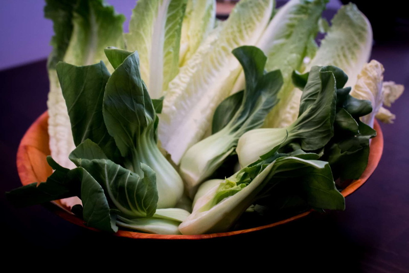 studio shot, healthy eating, leaf, indoors, food and drink, nature, freshness, raw food, organic, still life, bok choy, wellbeing, plant, food, green color
