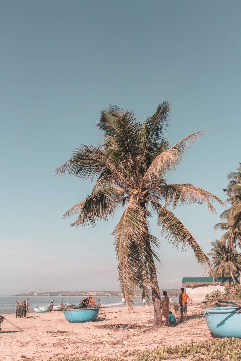morning, horizon over water, wanderlust, lifestyles, land, water, nature, beauty in nature, coconut, beach, clear sky, real people, sea, travel, scenics - nature