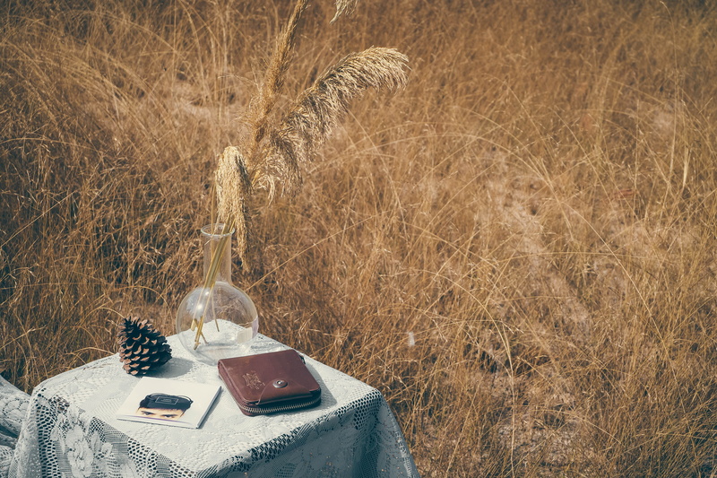 container, day, book, outdoors, nature, no people, field, spirituality, ubon ratchathani, publication, antique, thailand, tree, land, religion, gold colored