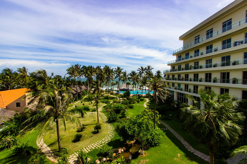 sunlight, architecture And Buildings, coconut palm tree, né, tree, green color, house, set, building, built Structure, Location, plant, travel Locations
