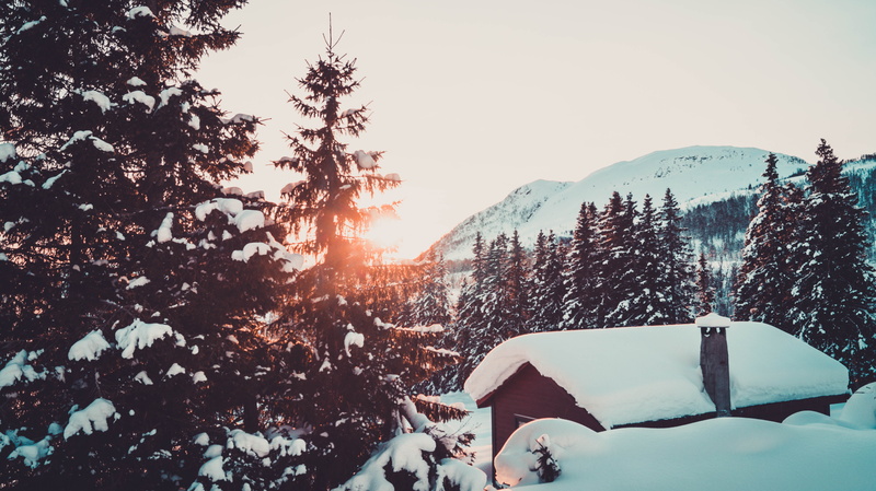 scenics - nature, non-urban scene, beauty in nature, snowcapped mountain, nature, pine, sun, pine trees, cold temperature, snow, sky, tranquility, mountain