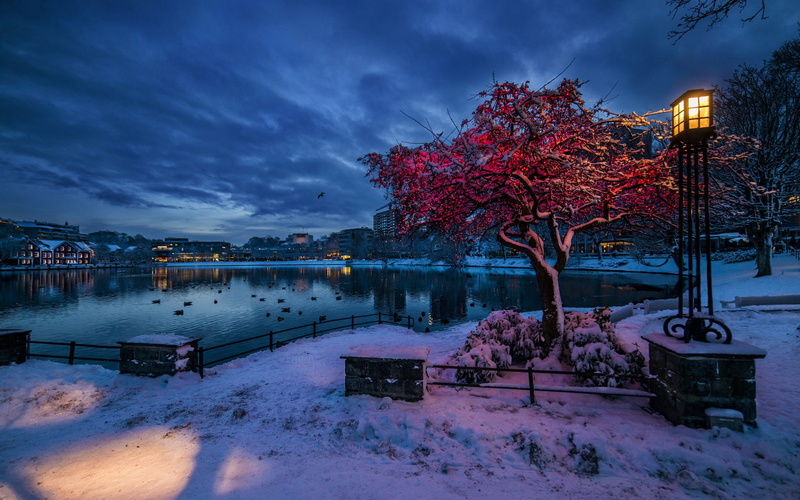 Norway, Lights, 1080P, Stavanger, Evening, Rogaland, City, Winter, Snow, Houses