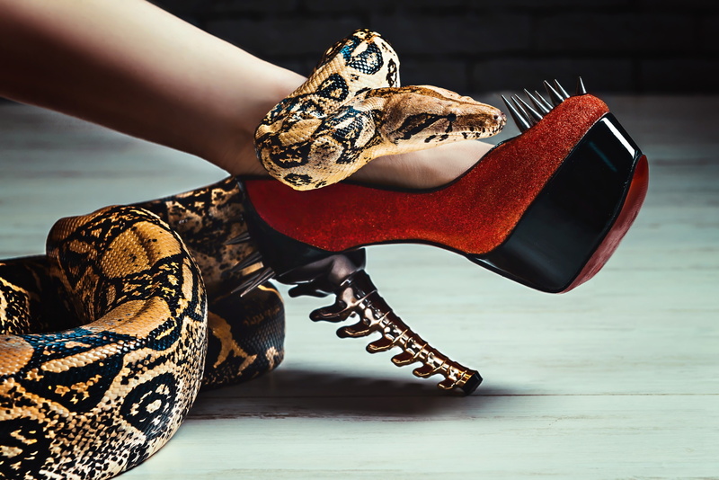 animals, one person, indoors, high heels, hand, real people, body part, holding, feet, reptiles, adult, 2K, human limb, finger, reptile, snake, representation