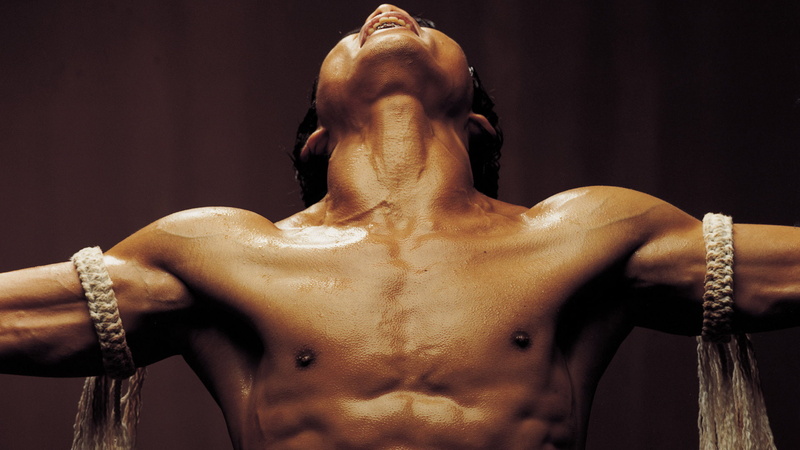 1080P, bak, ong bak, martial, tony, jaa, warrior, arts, ong