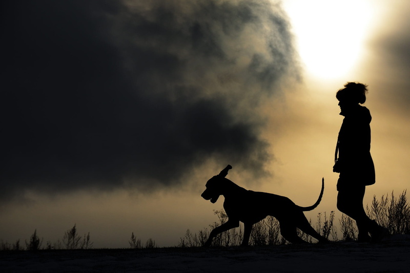 sunset, land, full length, pet owner, nature, domestic animals, silhouette, cloud - sky, one animal, dog, man and dog, leisure activity, person, profile view