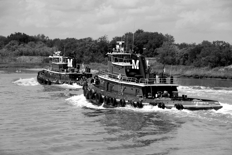 marine, mode of transportation, port, day, shipping, sky, outdoors, boat, sailing, motion, nature, sea, tug boats, nautical vessel, nautical, tree, incidental people