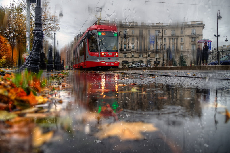 puddles, Saint Petersburg, rain, autumn, the building, the city, Gordeev Edward, Peter, 1080P, Eduard Gordeev, tram, leaves, Ed Gordeev, street