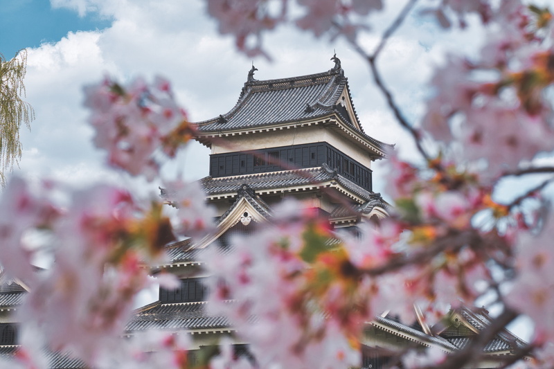 no people, ornate, built structure, 5K, spirituality, castle, religion, building exterior, plant, temple, outdoors, cherry tree, flora, springtime, flowering plant