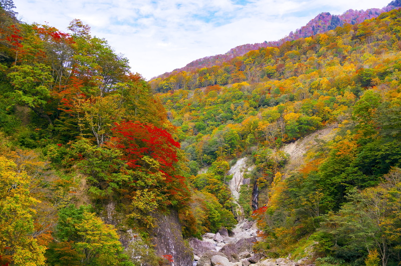 daytime, falls, tree, day, akiyama township, sky, orange color, photography, plant, fall, idyllic, natural, no people, autumn, cloud - sky, forest, flowing water