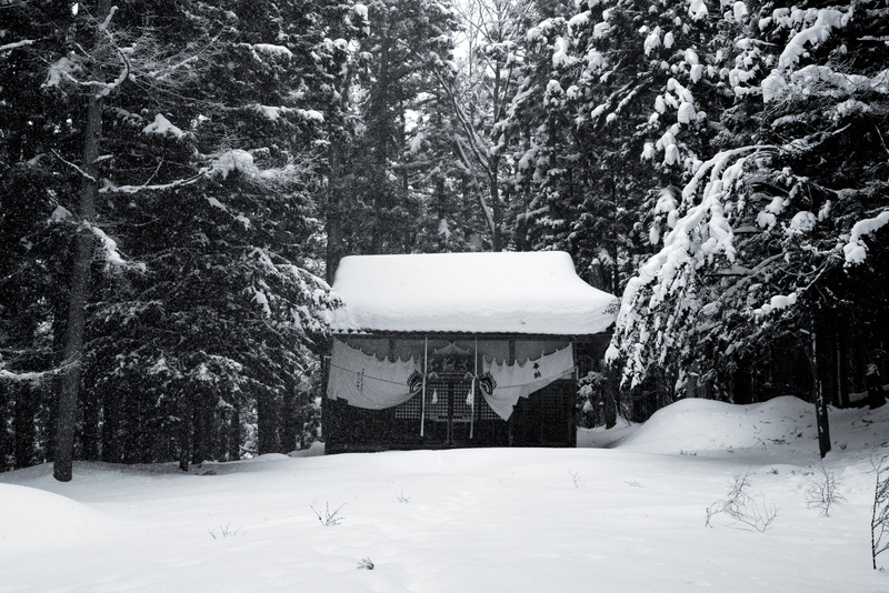 beauty in nature, jigokudani monkey park, outdoors, winter, covering, day, architecture, tranquility, nature, growth, plant, tree, snow, no people, building exterior