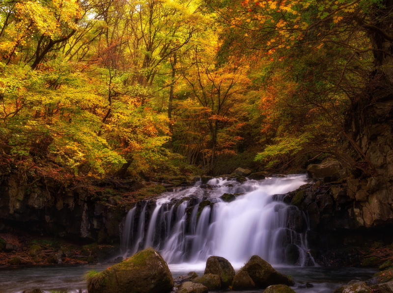 plant, Seasons, Waterfalls, trees, ootaki, long exposure, rock, Stream, power in nature, rainforest, day, forest, nagano, flowing water, nature, 5K, Waterfall