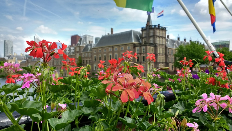 red, monument, cultural, netherlands, flowerbed, flower, built structure, inflorescence, binnenhof, landmark, flags, beauty in nature, travel, hague, den haag