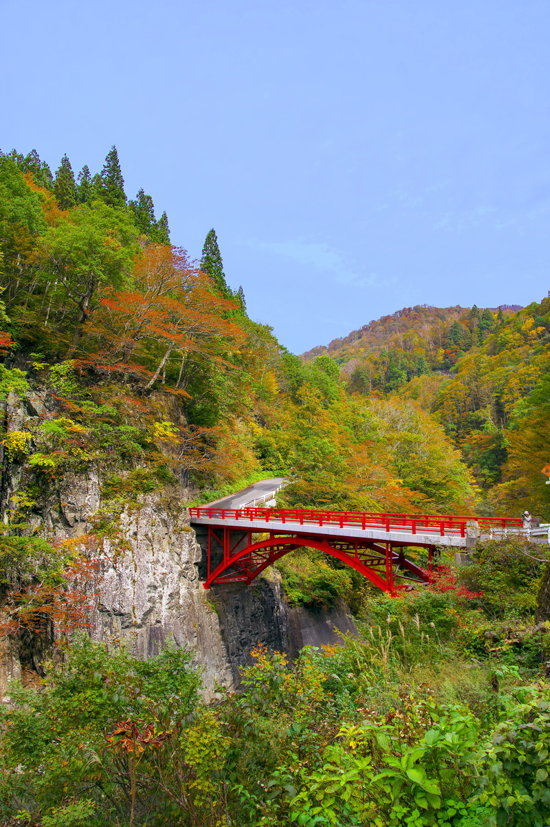 autumnal leaves, niigata, beauty in nature, growth, bridge, landscape, japan, land, tree, non-urban scene, change, scenics - nature, 5K, plant, natural