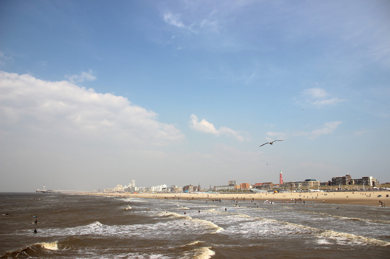 lighthouse, day, bird, animal, architecture, the hague, outdoors, scheveningen, spring, sea, animal themes, land, vertebrate, 5K, nature, flying, water