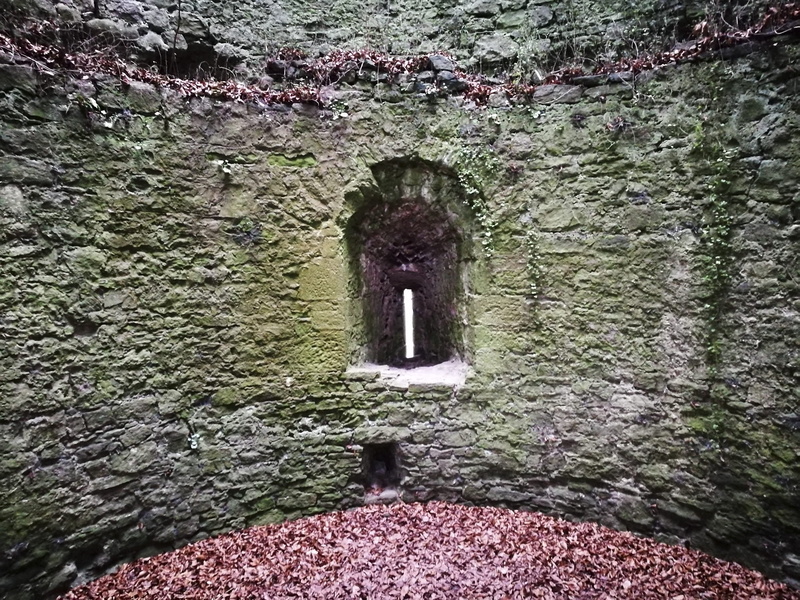 window, built structure, the past, day, arch, outdoors, architecture, usk, old, flowing, stone material, medieval, building exterior, overgrown, no people