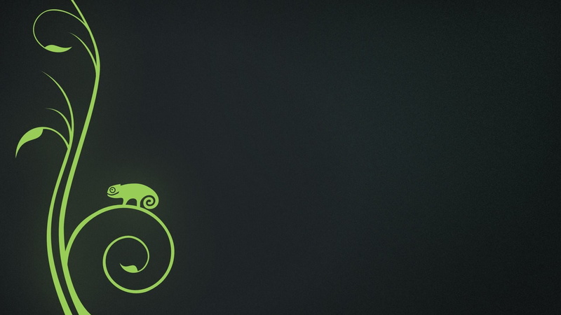 chameleon launcher, minimalistic, chameleon  hd, chameleon, 1080P, 1920x1080