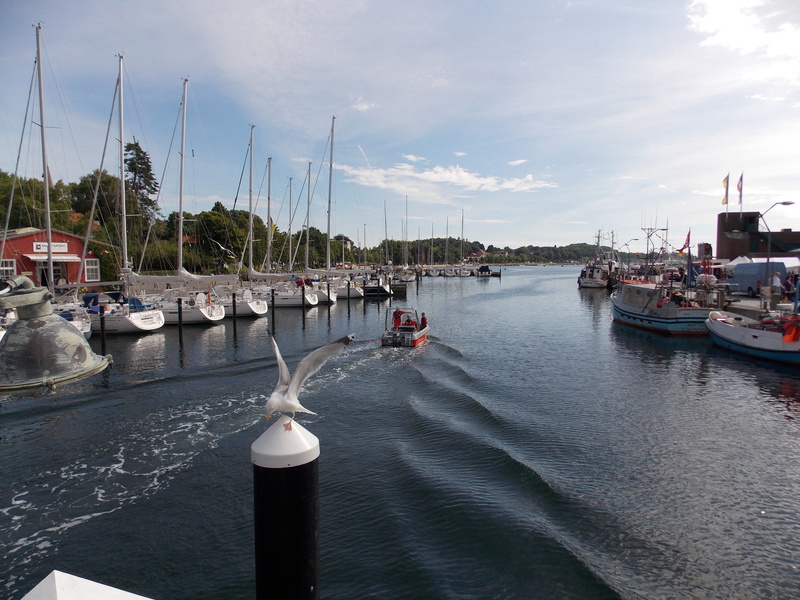 harbor, water, architecture, by the sea, vision, ocean, port, sailing boats, anchored, ships, pole, summer, yacht, cloud - sky, incidental people, transportation