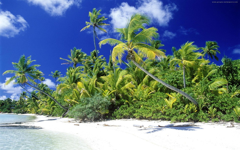 green, beach, 1080P, trees, tropical, blue, para, 3d and abstract