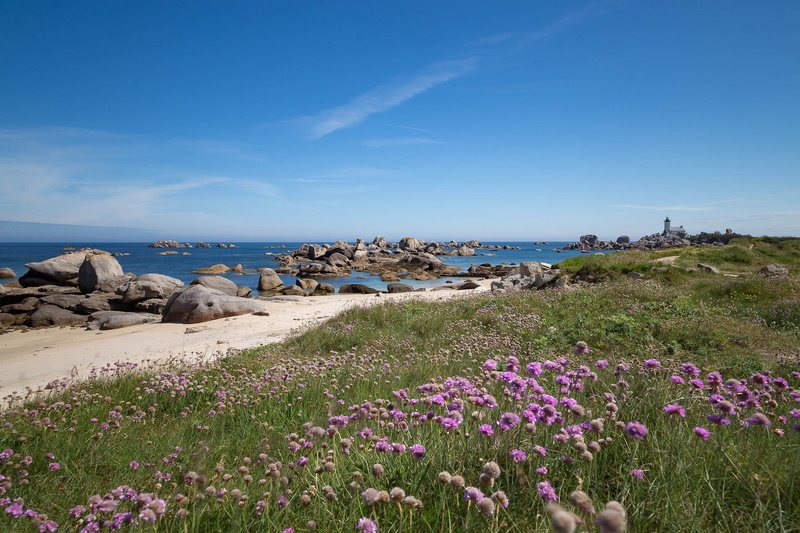 land, purple, flower, Brittany, tranquil scene, horizon over water, plant, scenics - nature, France, beach, nature, coast, water, Brignogan-Plage, tranquility